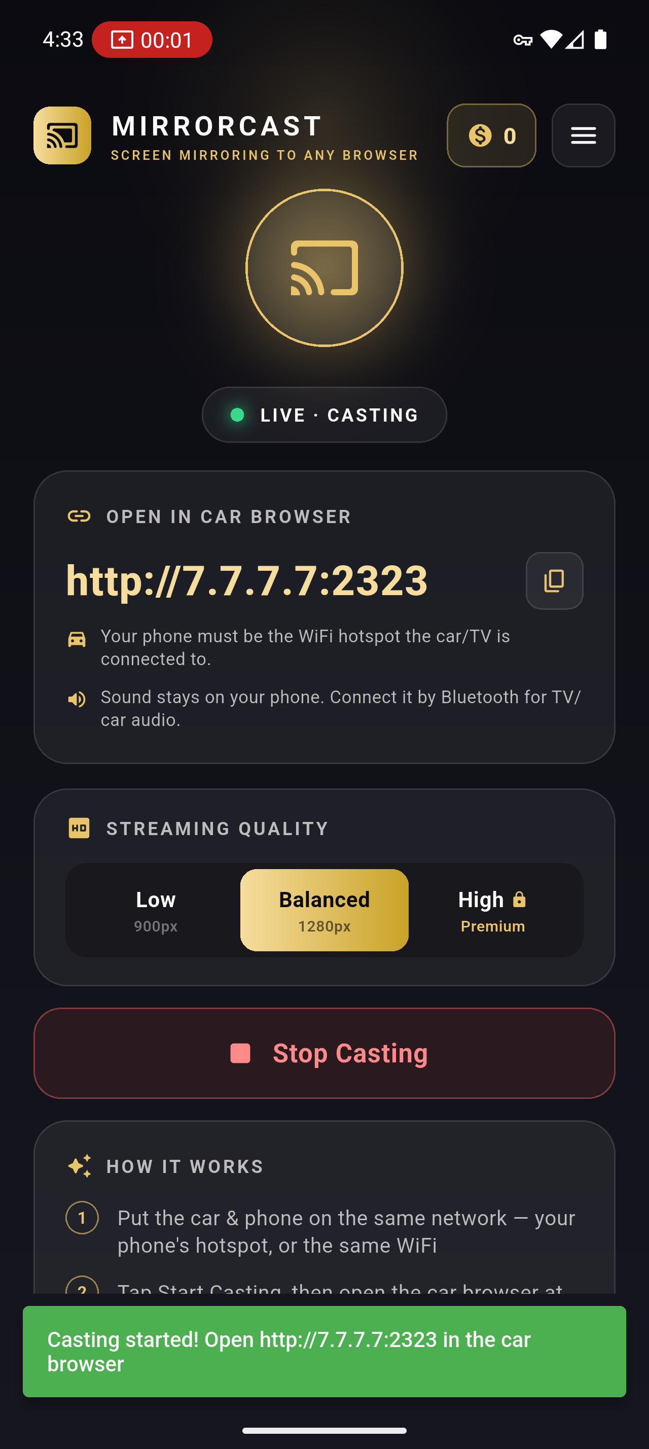 MirrorCast casting screen
